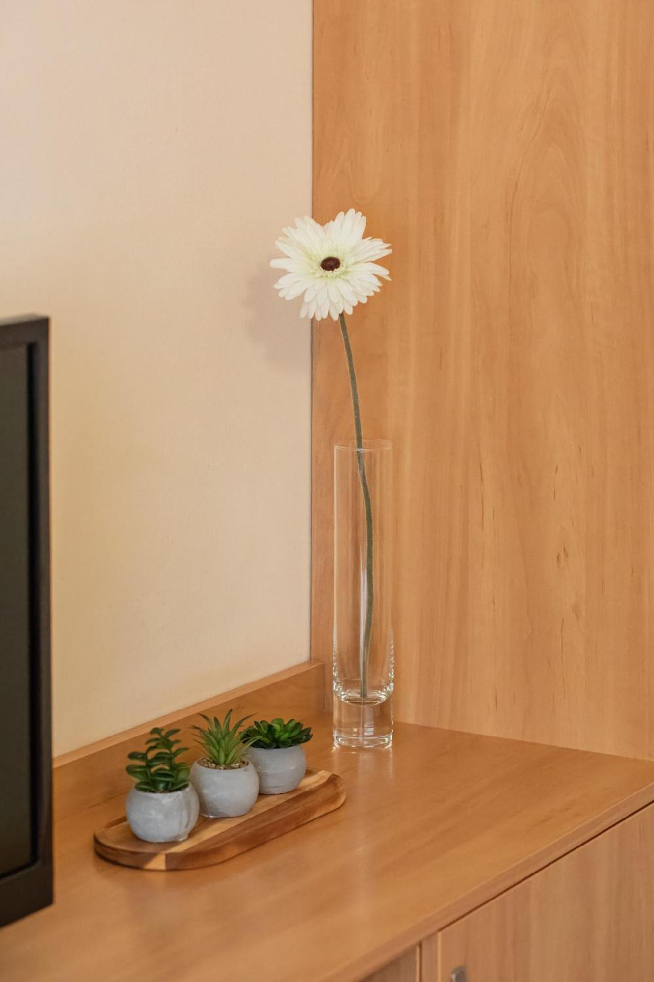 Apartment Charming Located Near The Promenade In By Renters *